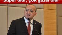 Yalçın Akdoğan'dan HDP açıklaması