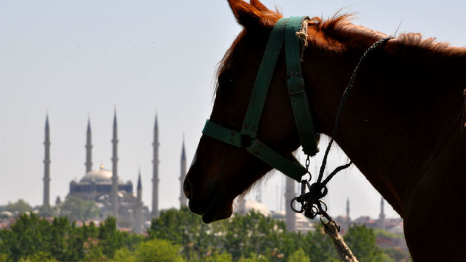 Valilik bu iş için 5 bin lira maaş verdi