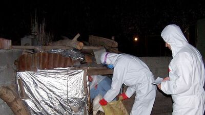 "Kuş gribi virüsü uzun süre yaşıyor"