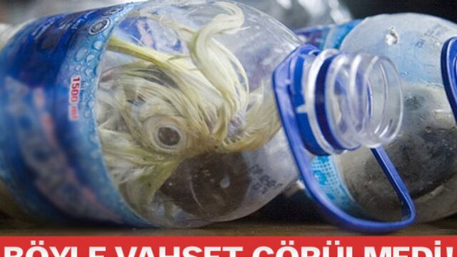 Böyle vahşet görülmedi!