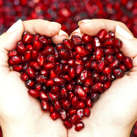 Sperm sayısını artıran besinler