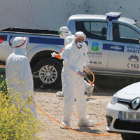 Bir tesiste daha kuş gribi!