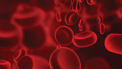 Talasemi hastaları kan bekliyor!