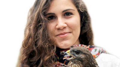 Kanadı kırık yabaniler!