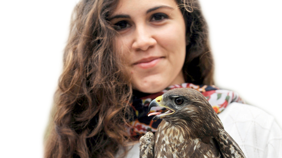 Kanadı kırık yabaniler!