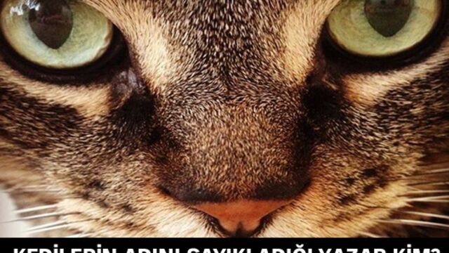 Kedilerin adını sayıkladığı yazar kim?