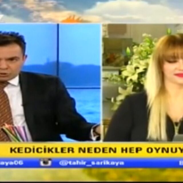 Kediciğe zor zoru!