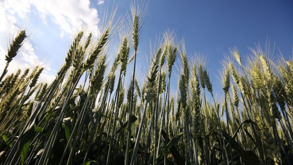 İşte kritik sektörde son durum!