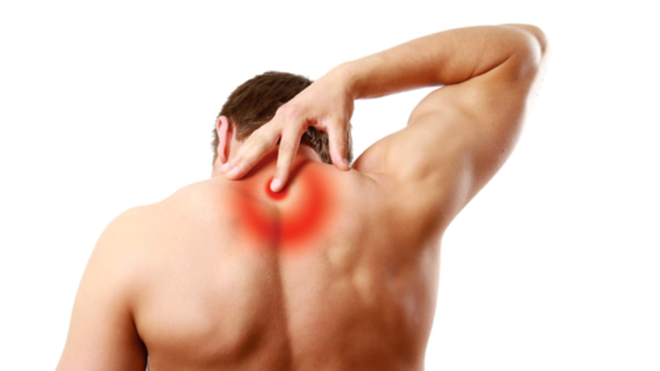 İnsan vücudundaki inanılmaz trafik!