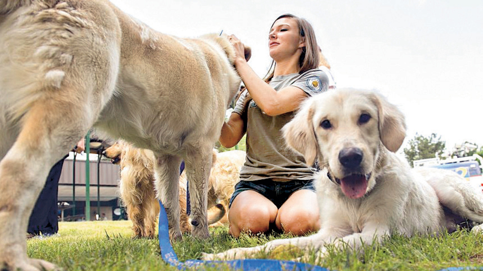 Türk Golden'lar Atlanta'ya taşındı