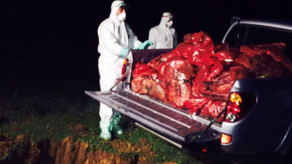 Gebze'de gece yarısı tavuk operasyonu