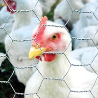 Büyük kabus geri döndü!