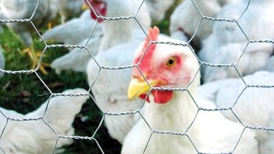 Büyük kabus geri döndü!