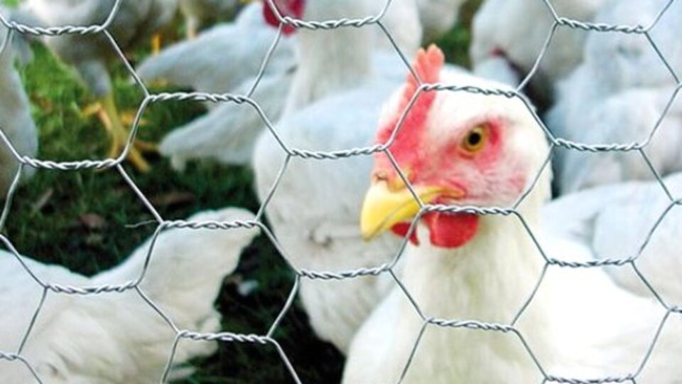 Büyük kabus geri döndü!