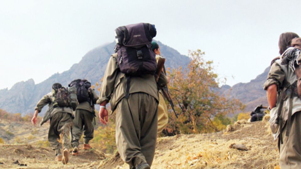 Şırnak'ta 9 PKK'lı teslim oldu