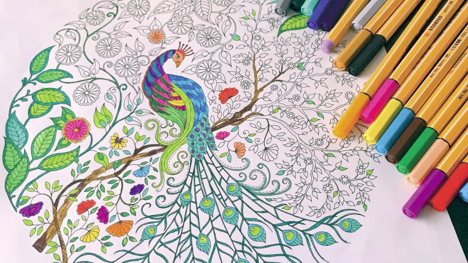 Yeni trend Yetişkinlere boyama kitapları