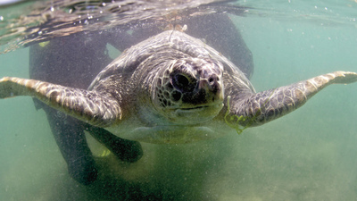 'Güle güle gidin kuzucuklarım'