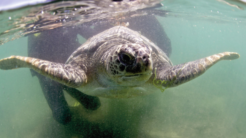 'Güle güle gidin kuzucuklarım'
