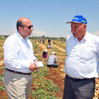 Doğu Akdeniz renk vermiyor