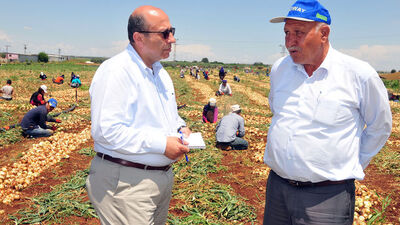 Doğu Akdeniz renk vermiyor