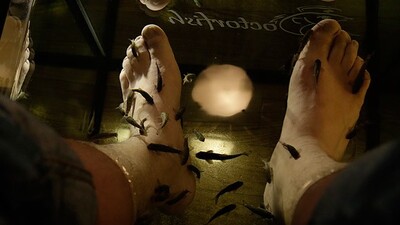 Şifa dağıtıyorlar!