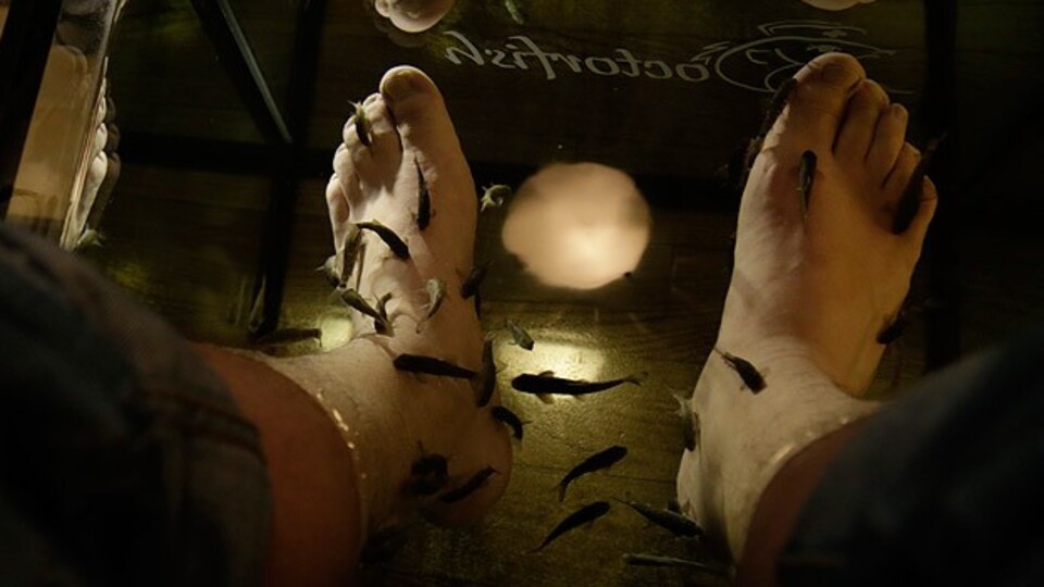 Şifa dağıtıyorlar!