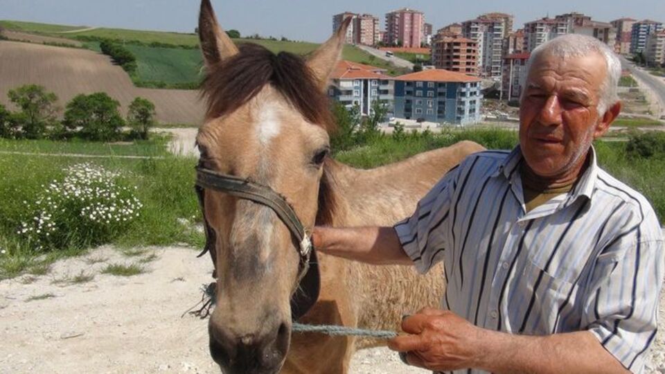 Dayanamadı işi bıraktı! Nedeni ise...