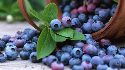 "Diyabet hastaları bu meyveyi tüketsin"
