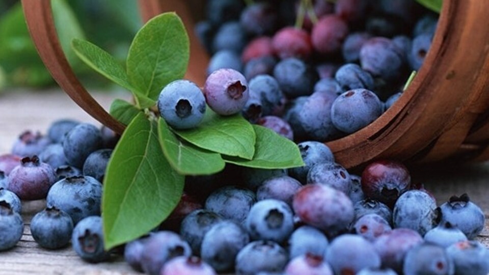 "Diyabet hastaları bu meyveyi tüketsin"