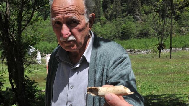 Kaçkarlar'da 2 milyon yıllık Mamut dişi heyecanı