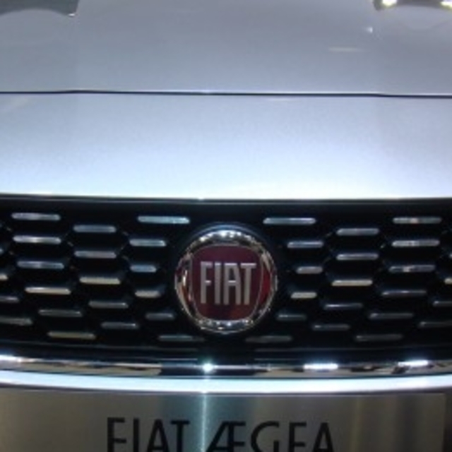 Devler güçlerini Fiat 'EGE'de birleştirdi