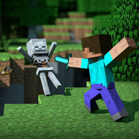 Minecraft'a sınır!