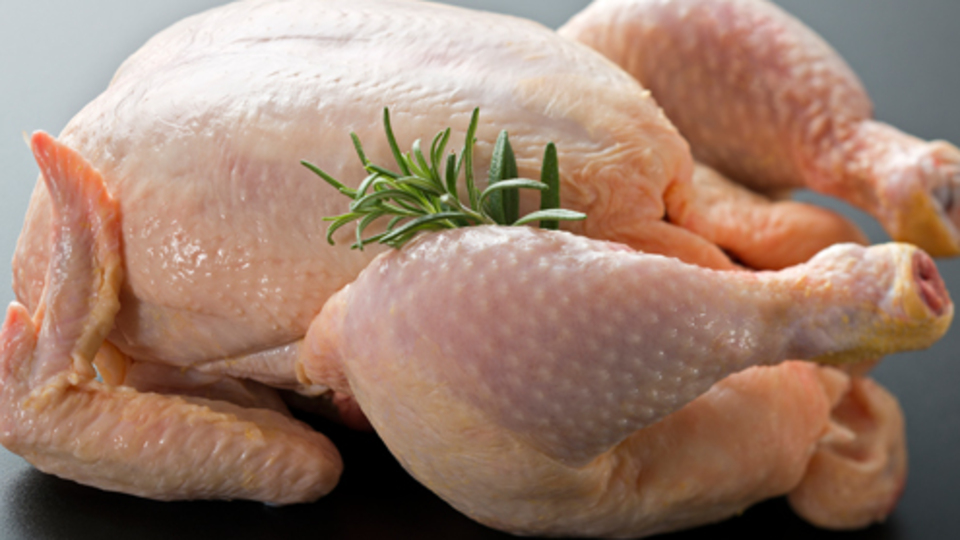 Tavuk, yumurta yiyelim mi?