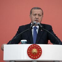 "Tavuk musunuz da sandığın üzerine tüneyeceksiniz?"