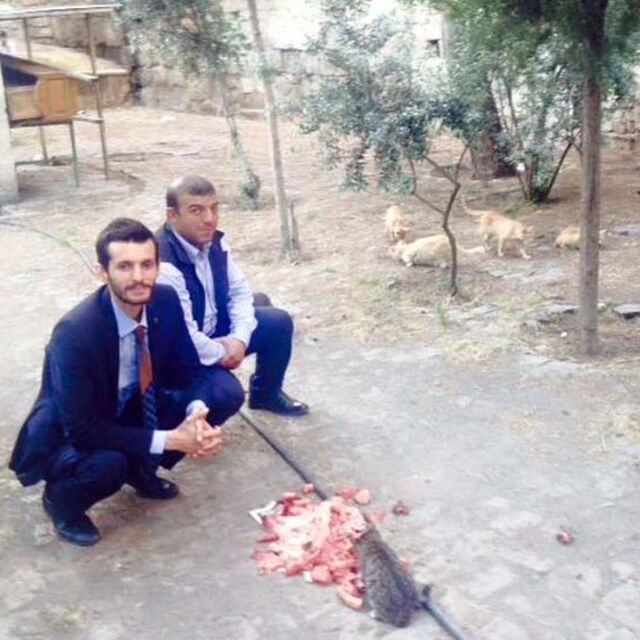 MHP'li adaylar kedileri topladı ve...
