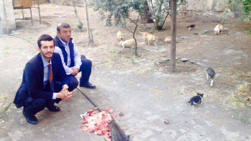 MHP'li adaylar kedileri topladı ve...