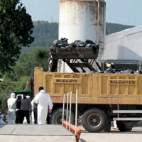 Kanatlı kâbus Bursa’ya sıçradı!