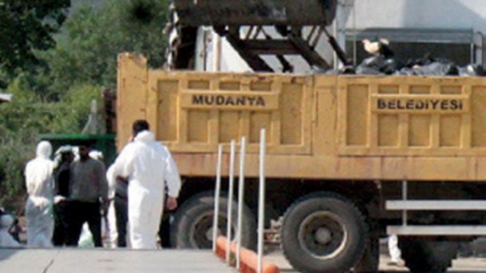 Kanatlı kâbus Bursa'ya sıçradı!