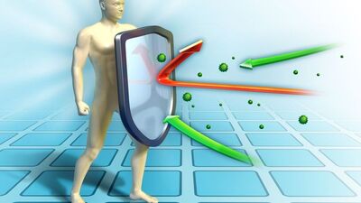 Kanseri bağışıklık sistemi yenecek