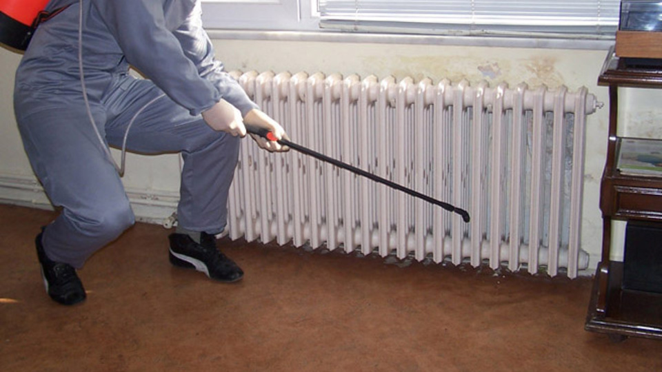 Uzmanlardan 'böcek ilacı' uyarısı