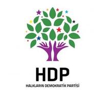 HDP ne kadar Hazine yardımı alacak?