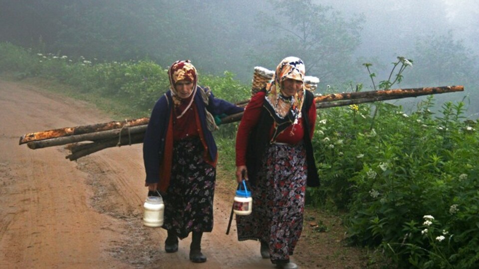 O bölgenin kadınları yükü sırtladı!