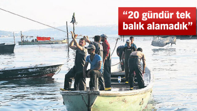 Balık 500 yıllık dalyanda bile bitti!