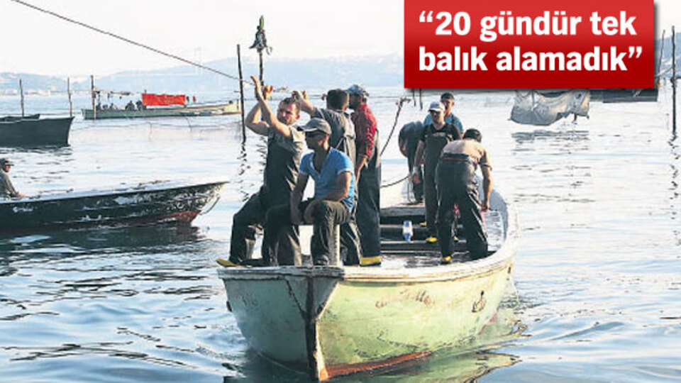 Balık 500 yıllık dalyanda bile bitti!