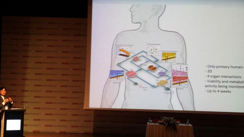 İnsan hücresinden 'çip' üretildi