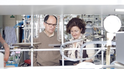 Biyo-yapay pankreas için önemli adım