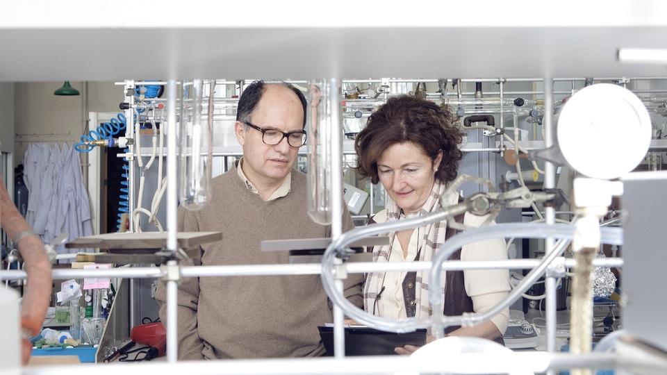 Biyo-yapay pankreas için önemli adım