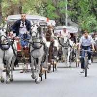 Büyükada’nın bitmeyen derdi!