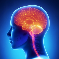 ALS, hafızayı ve zihni etkilemiyor