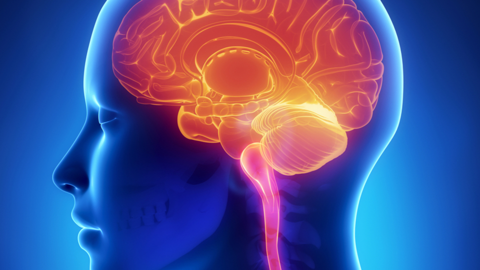 ALS, hafızayı ve zihni etkilemiyor